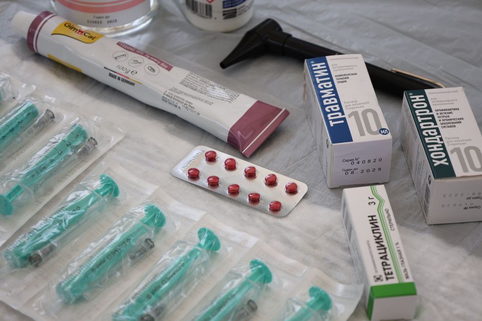 Acessibilidade Brasil: Farmacologia e Inclusão
